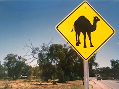 Camel Road Sign